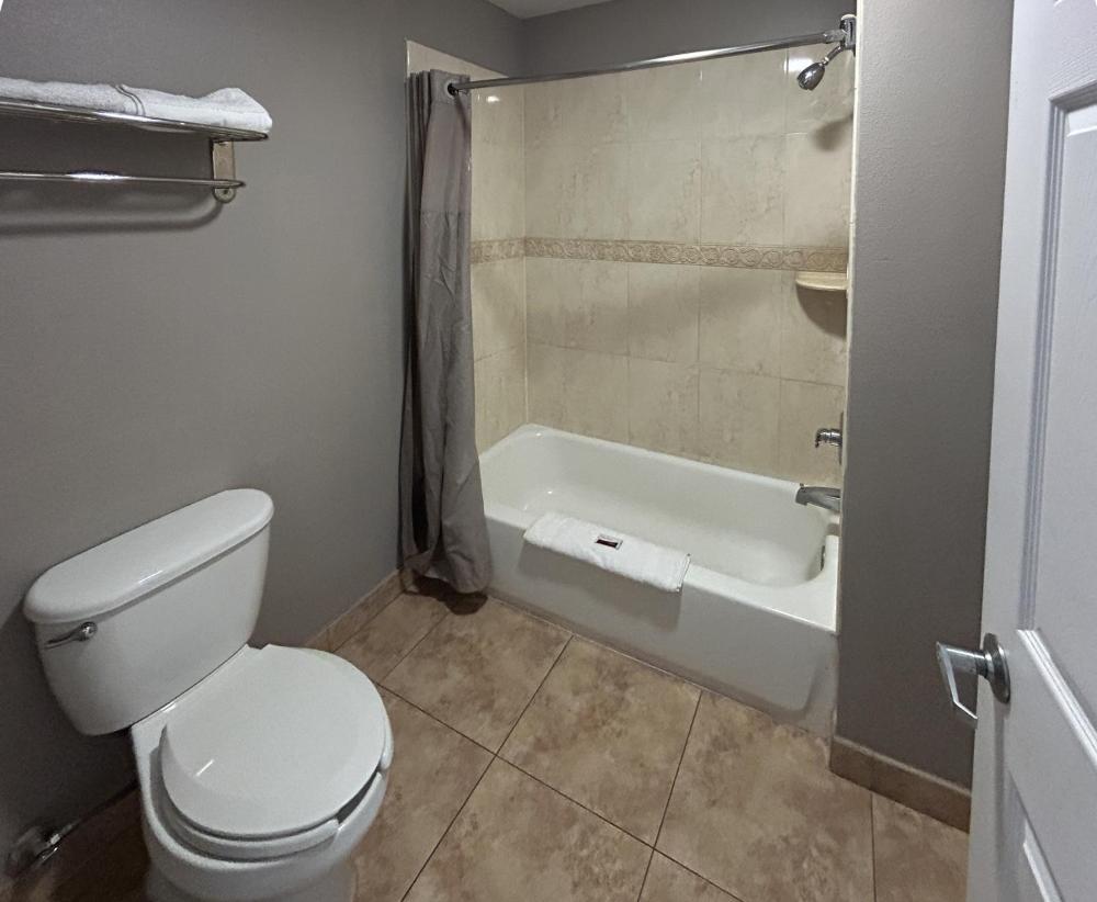 Standard Suite - Non-Smoking interior
